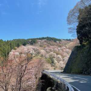 花屋倉展望台