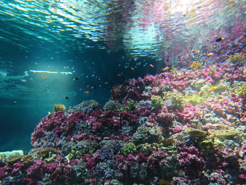 葛西臨海公園
