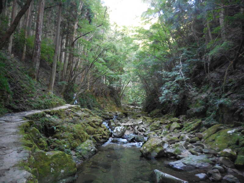 赤目四十八滝