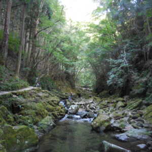 赤目四十八滝