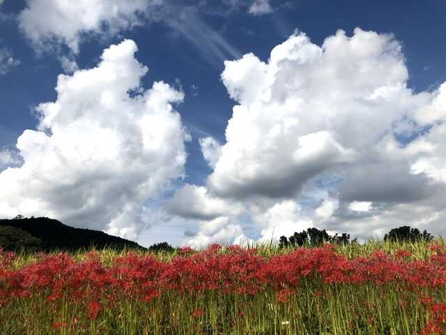 九品寺