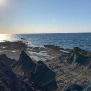 かもめ島