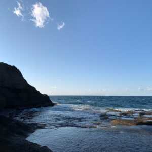 かもめ島