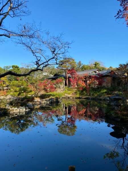 依水園
