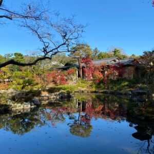 依水園
