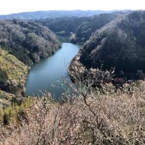 月ヶ瀬梅林