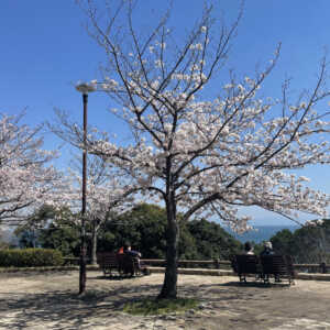 須磨浦山上公園