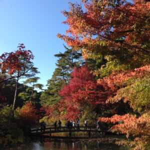 神戸市立森林植物園