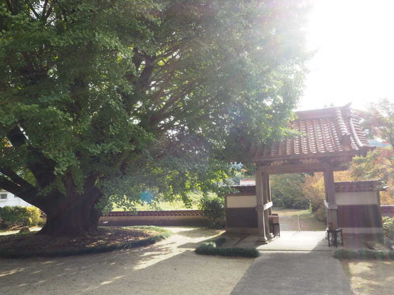浄善寺