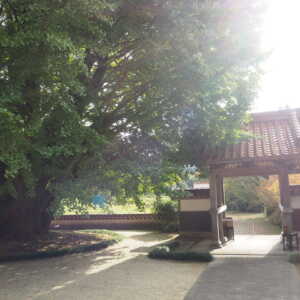 浄善寺