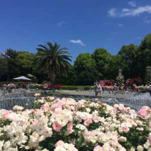 神戸市立須磨離宮公園