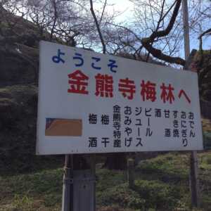 金熊寺（きんゆうじ）梅林
