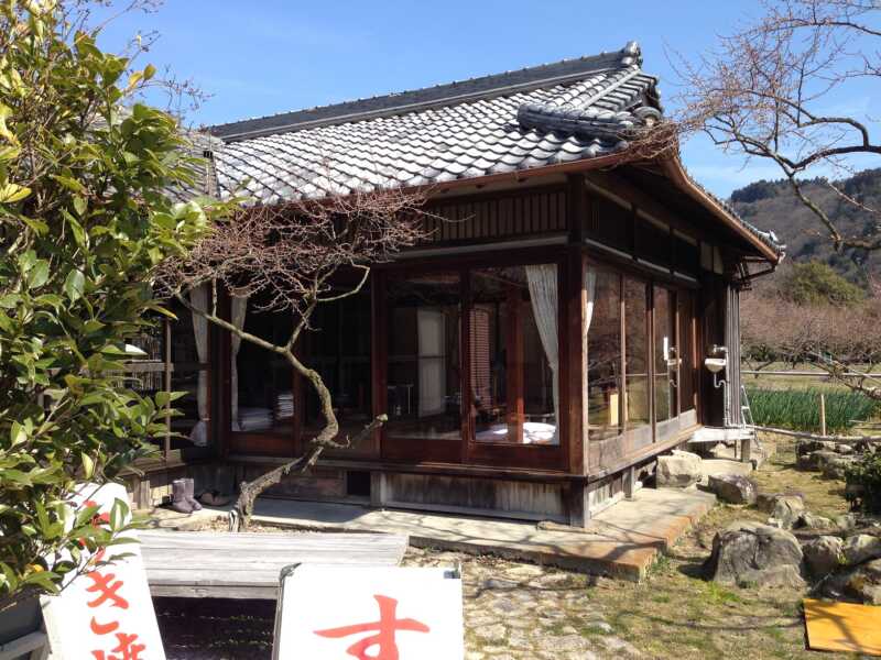 金熊寺（きんゆうじ）梅林