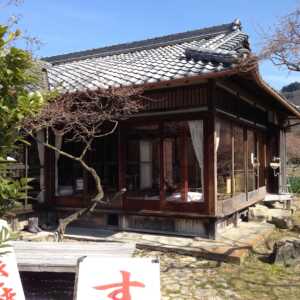 金熊寺(きんゆうじ)梅林