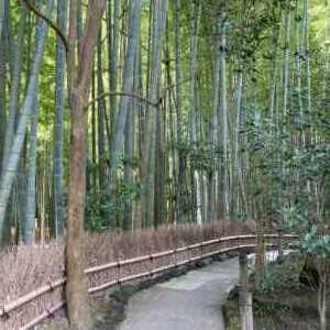 報告寺