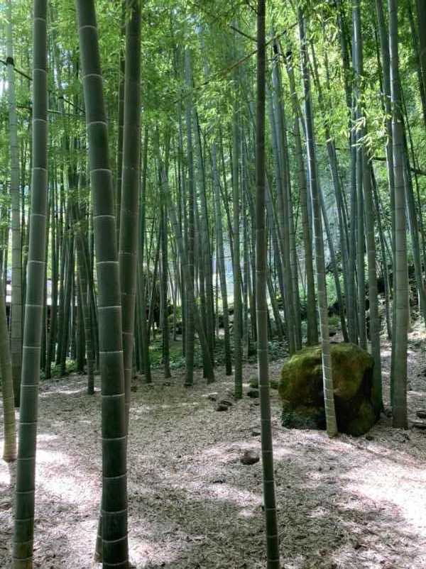 報告寺