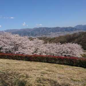ほったらかし温泉