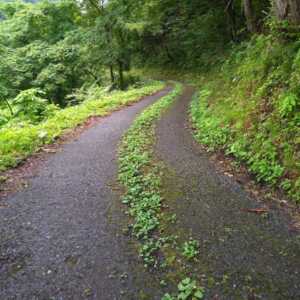 楢峠
