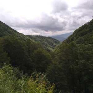楢峠