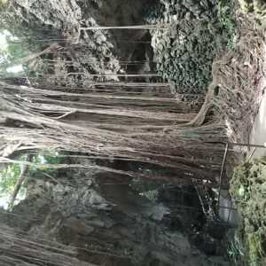 ガンガラーの谷