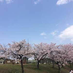 石ケ谷公園