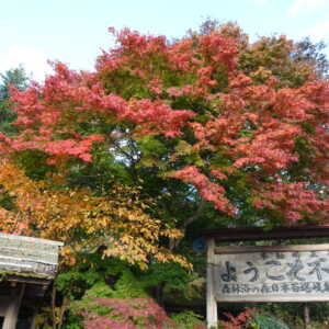 不動滝