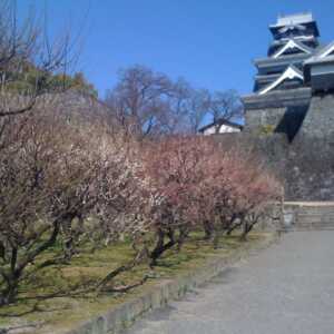 熊本城