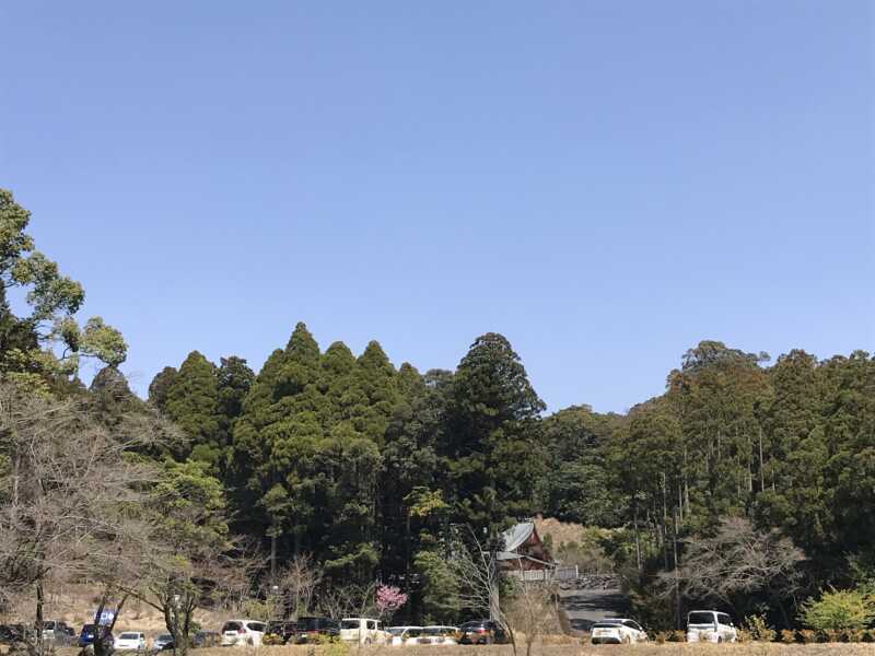 霧島神宮