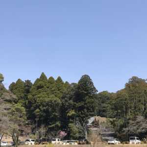 霧島神宮