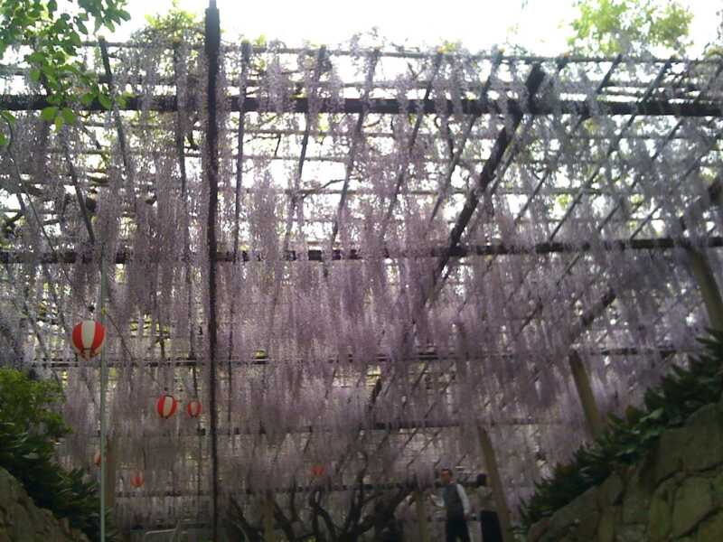 唐津城