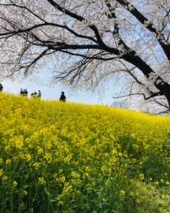 万平公園