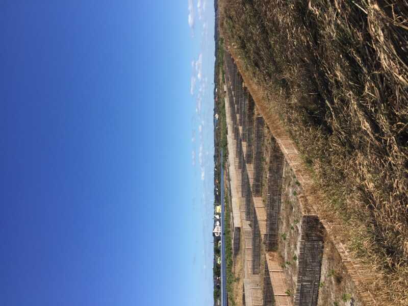 太陽と海オートキャンプ場
