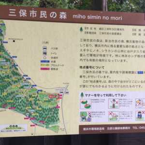 三保市民の森