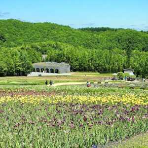 滝野すずらん丘陵公園
