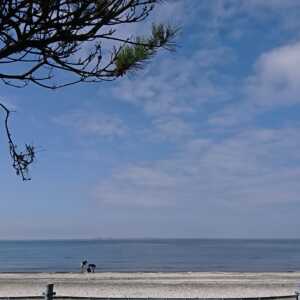稲毛海浜公園