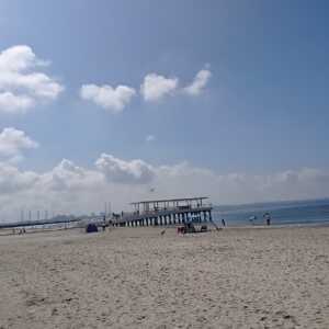 稲毛海浜公園