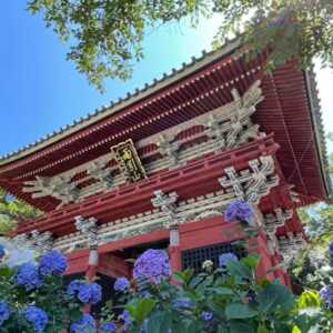 雨引観音(雨引山 楽法寺)