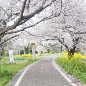 さくら堤公園