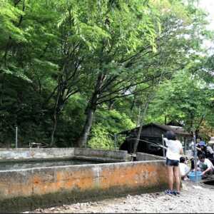 ますや 下山養魚場