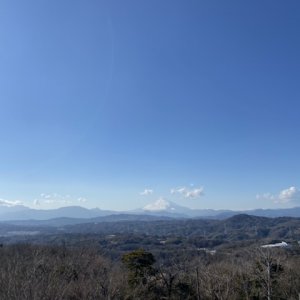 湘南平