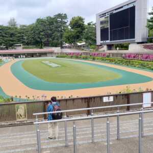 東京競馬場