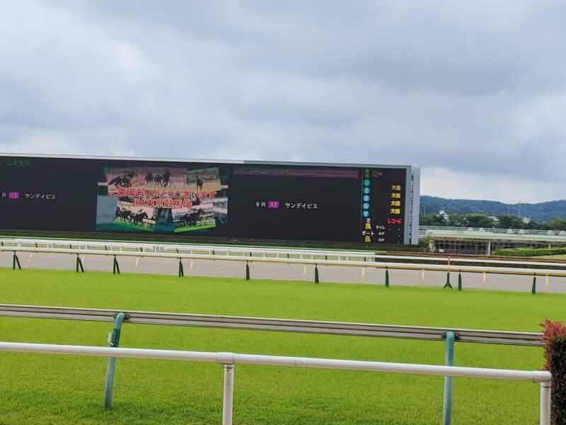 東京競馬場