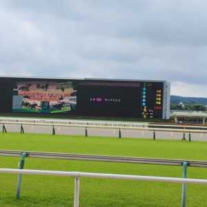東京競馬場