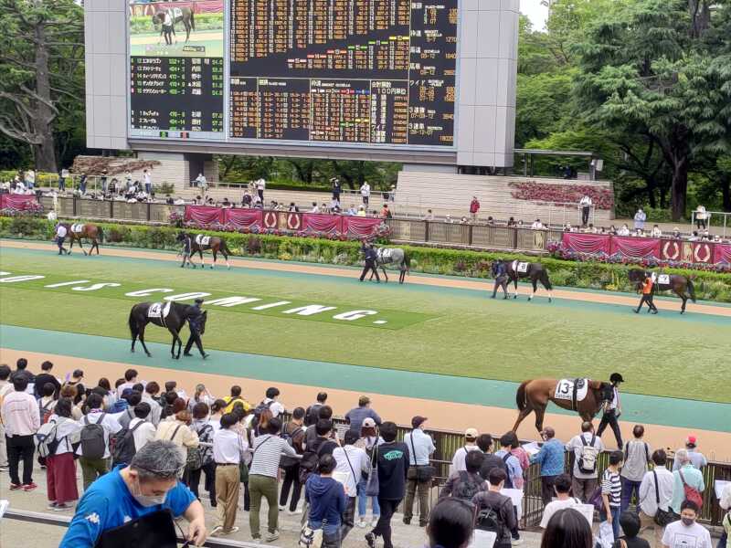 東京競馬場