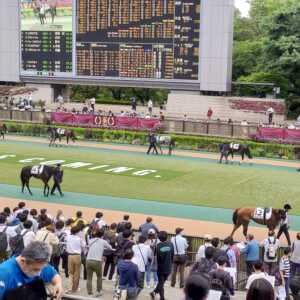 東京競馬場