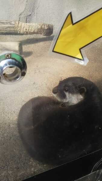 ノースサファリサッポロ
