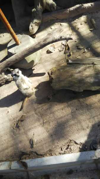 ノースサファリサッポロ