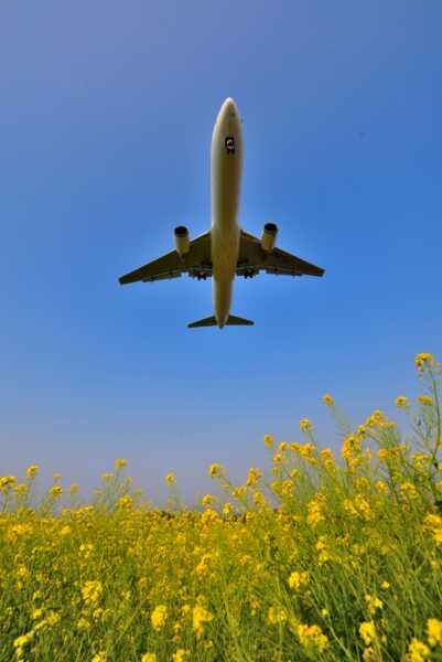熊本空港