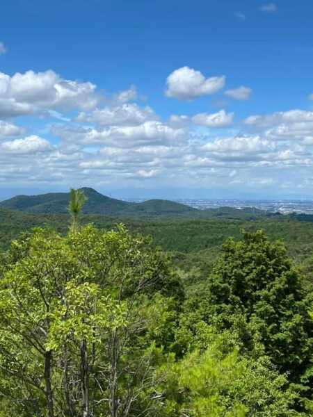 八曽自然休養林