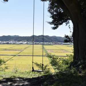 いわき回廊美術館